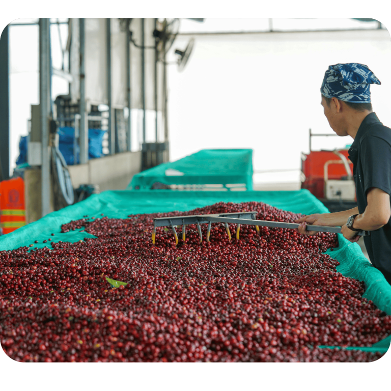 Food & Beverage Industry 11 Food and Beverage Processing