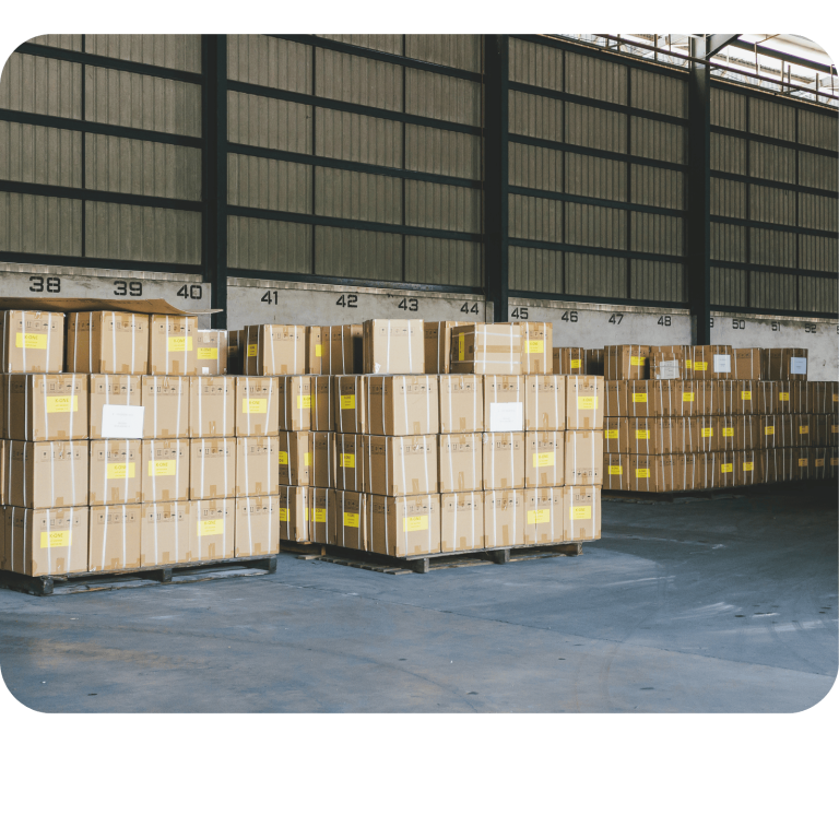 Warehouse Management Software