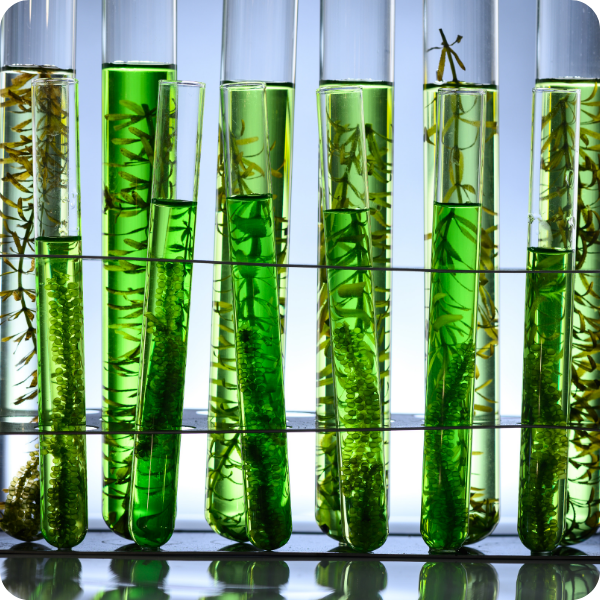 Biotech traceability solutions 1